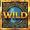 Дикий символ №1 Wild