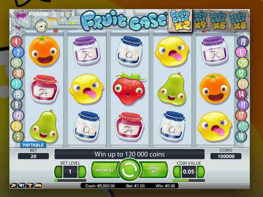 Fruit Case