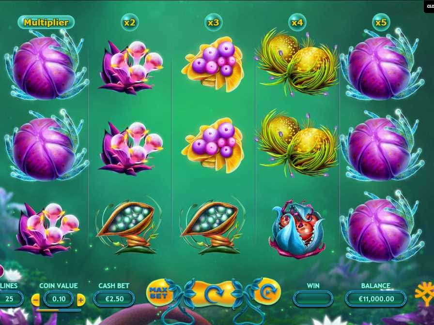 Fruitoids