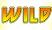 Надпись WILD Дикий символ