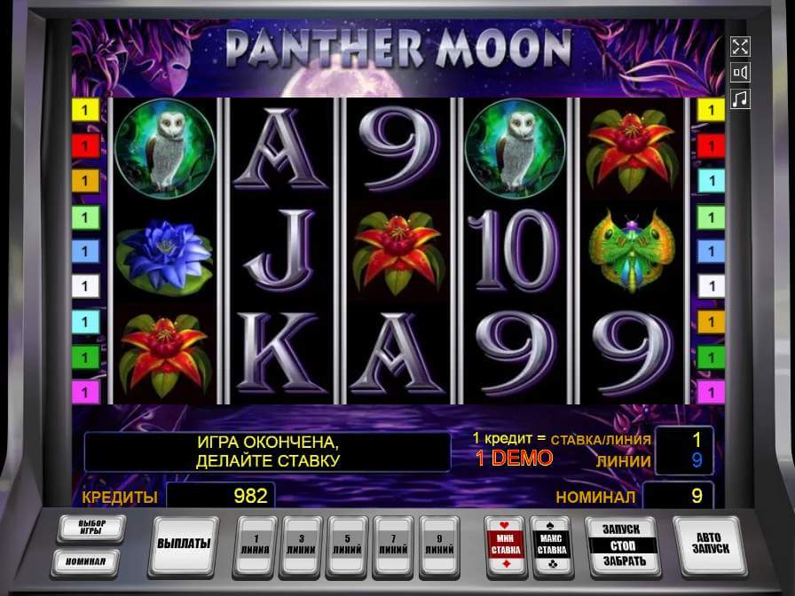Panther Moon