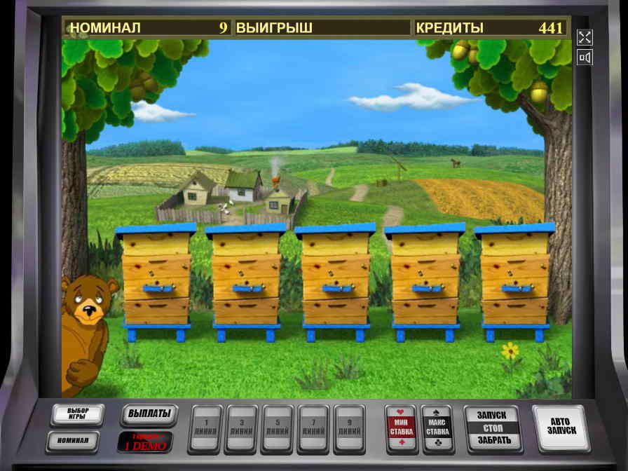 В бонусной игре медведю снова предстоит нелёгкий выбор Риск раунд игрового аппарата Сладкая жизнь